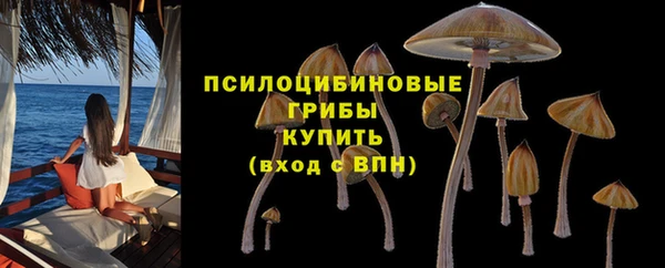стаф Мегион