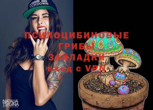 ГАЛЛЮЦИНОГЕННЫЕ ГРИБЫ Магадан