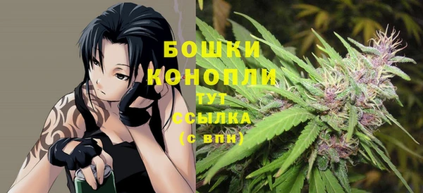 стаф Майский