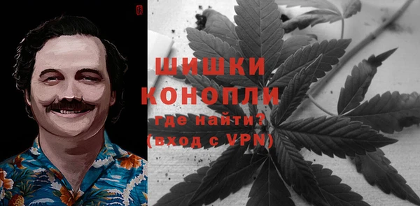 стаф Майский